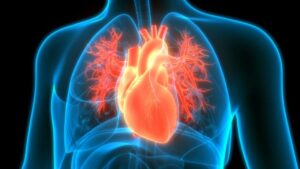 Read more about the article कोविड-19 महामारी के बाद हृदय रोग और कैंसर के मामलों में वृद्धि