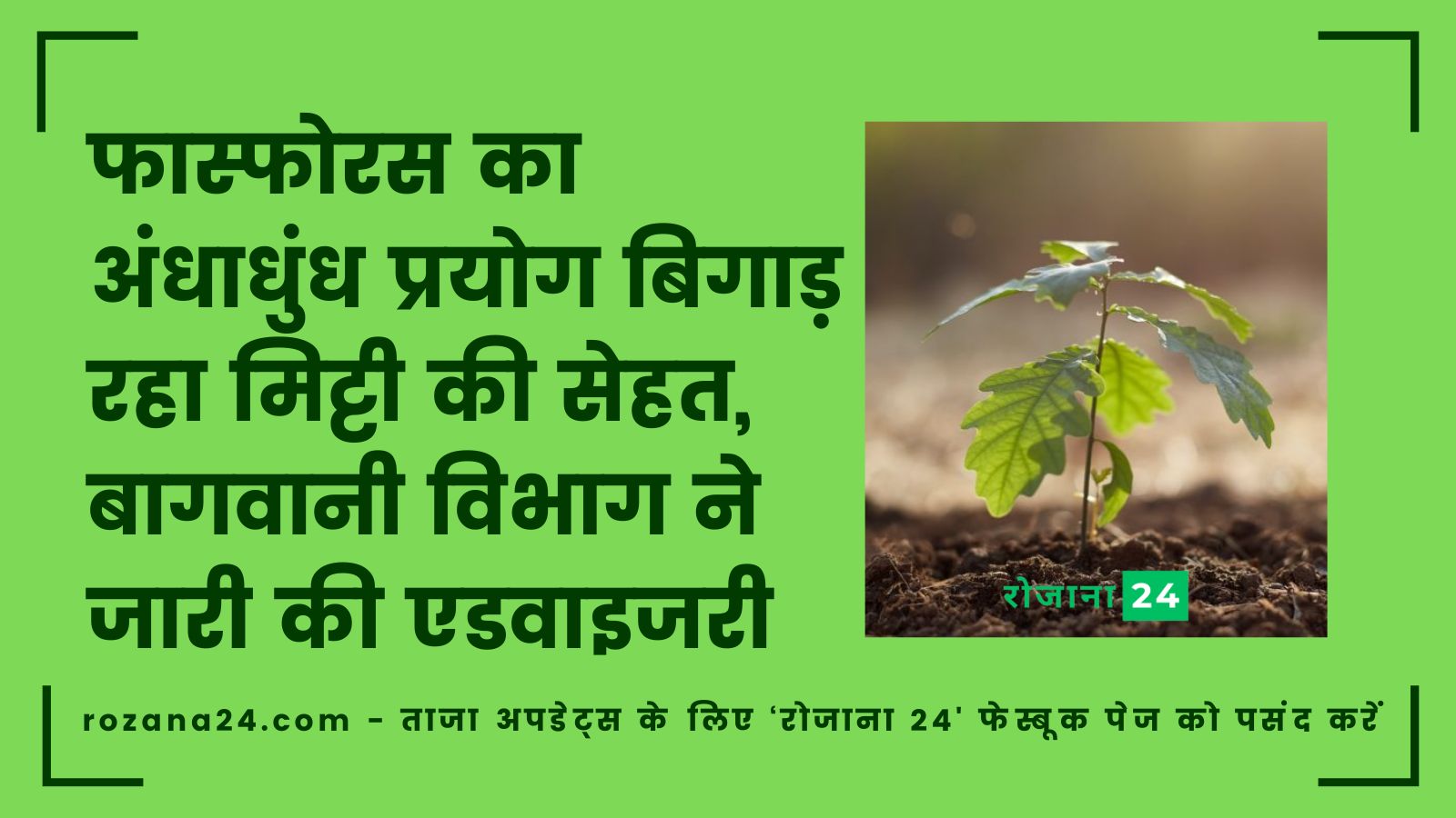 फास्फोरस का अंधाधुंध प्रयोग बिगाड़ रहा मिट्टी की सेहत, बागवानी विभाग ने जारी की एडवाइजरी