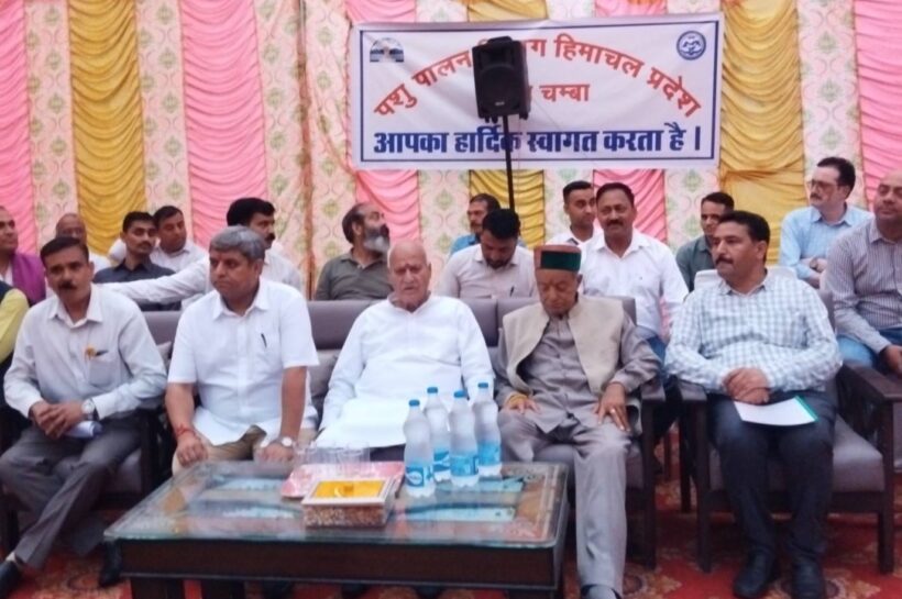 चंबा के सरोल में बनेगी सवा दो करोड़ की कुक्कुट हैचरी, कृषि व पशुपालन मंत्री प्रो. चंद्र कुमार ने किया शिलान्यास चंबा के सरोल में बनेगी सवा दो करोड़ की कुक्कुट हैचरी, कृषि व पशुपालन मंत्री प्रो. चंद्र कुमार ने किया शिलान्यास