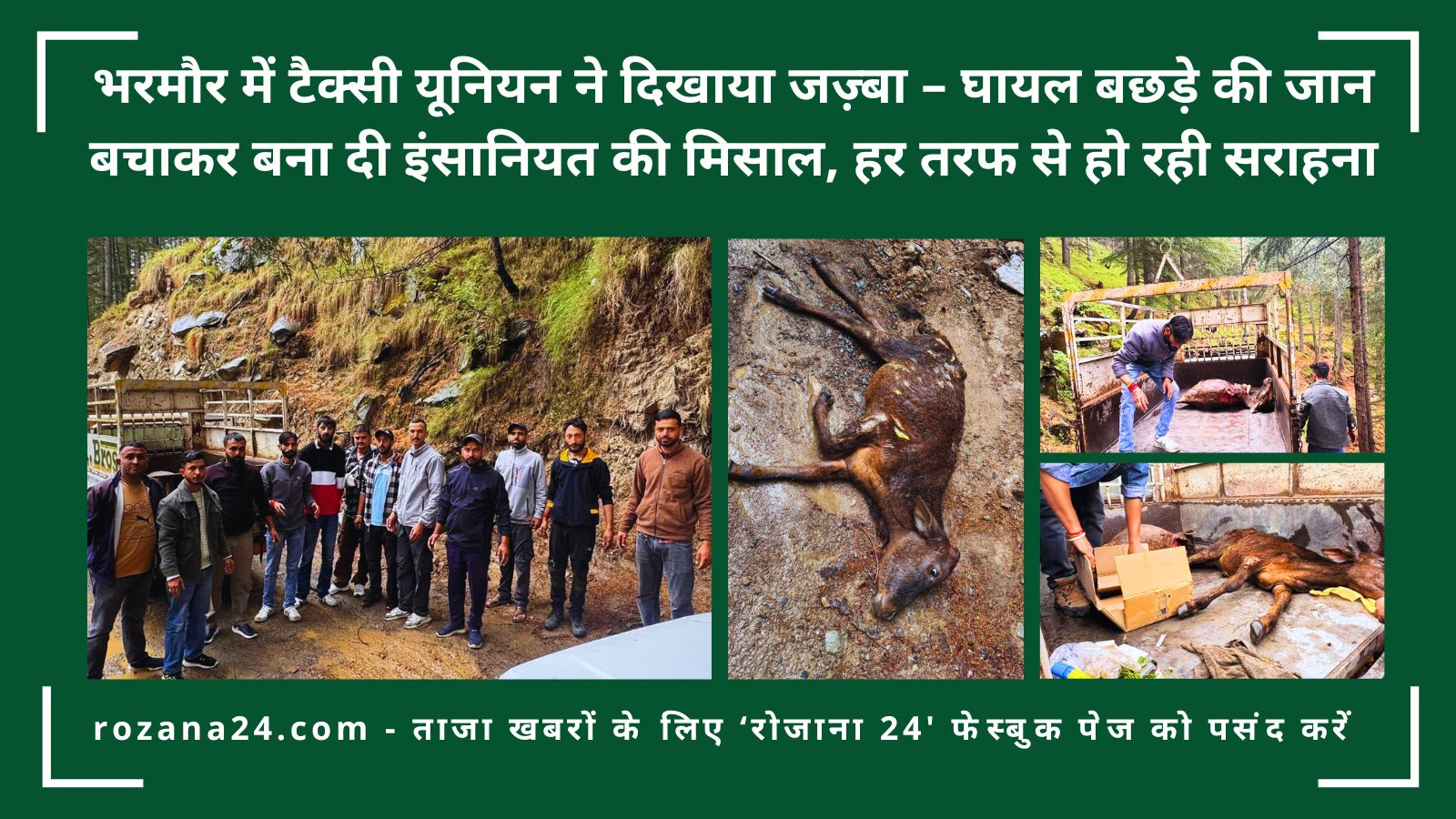 भरमौर में टैक्सी यूनियन ने दिखाया जज़्बा – आवारा कुत्तों के हमले में घायल बछड़े की जान बचाकर बना दी इंसानियत की मिसाल, हर तरफ से हो रही सराहना
